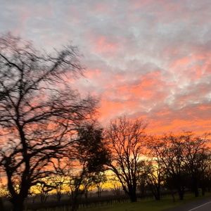 Meet your Posher, Talia